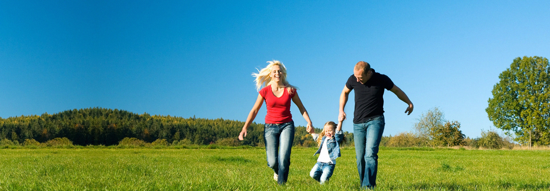 福鑫卉虫控，焕新生活