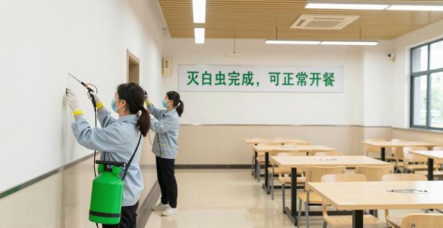 食堂灭白蚁_食堂灭虫_灭白蚁工作